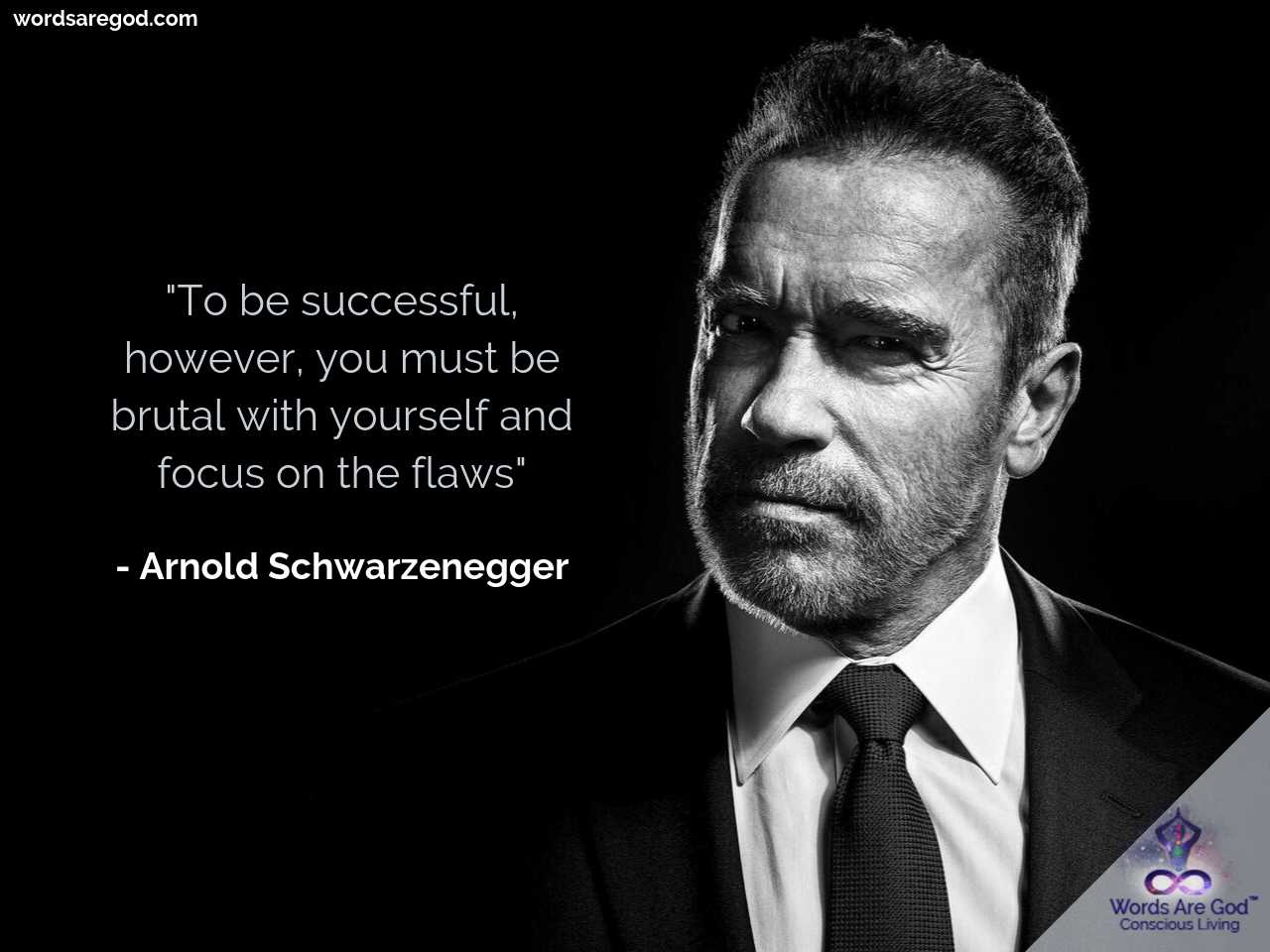 Arnold Schwarzenegger Life Quote by Arnold Schwarzenegger