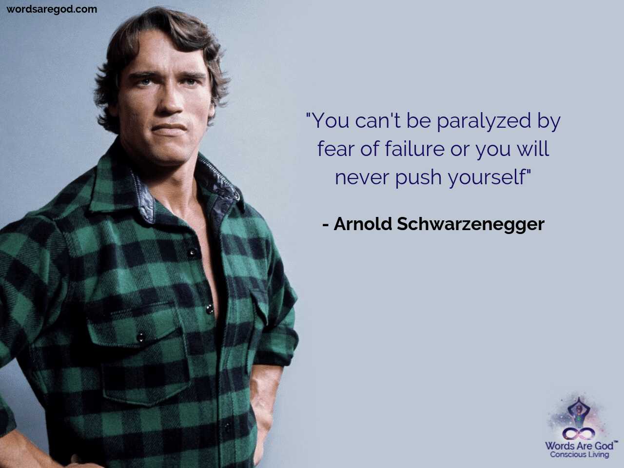 Arnold Schwarzenegger Life Quote by Arnold Schwarzenegger