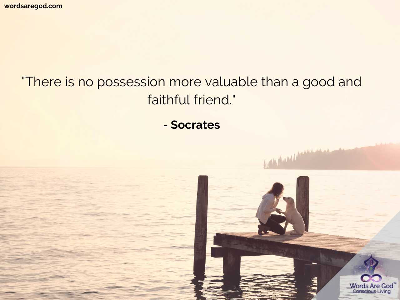 Friendship Quotes by Friendship Quotes