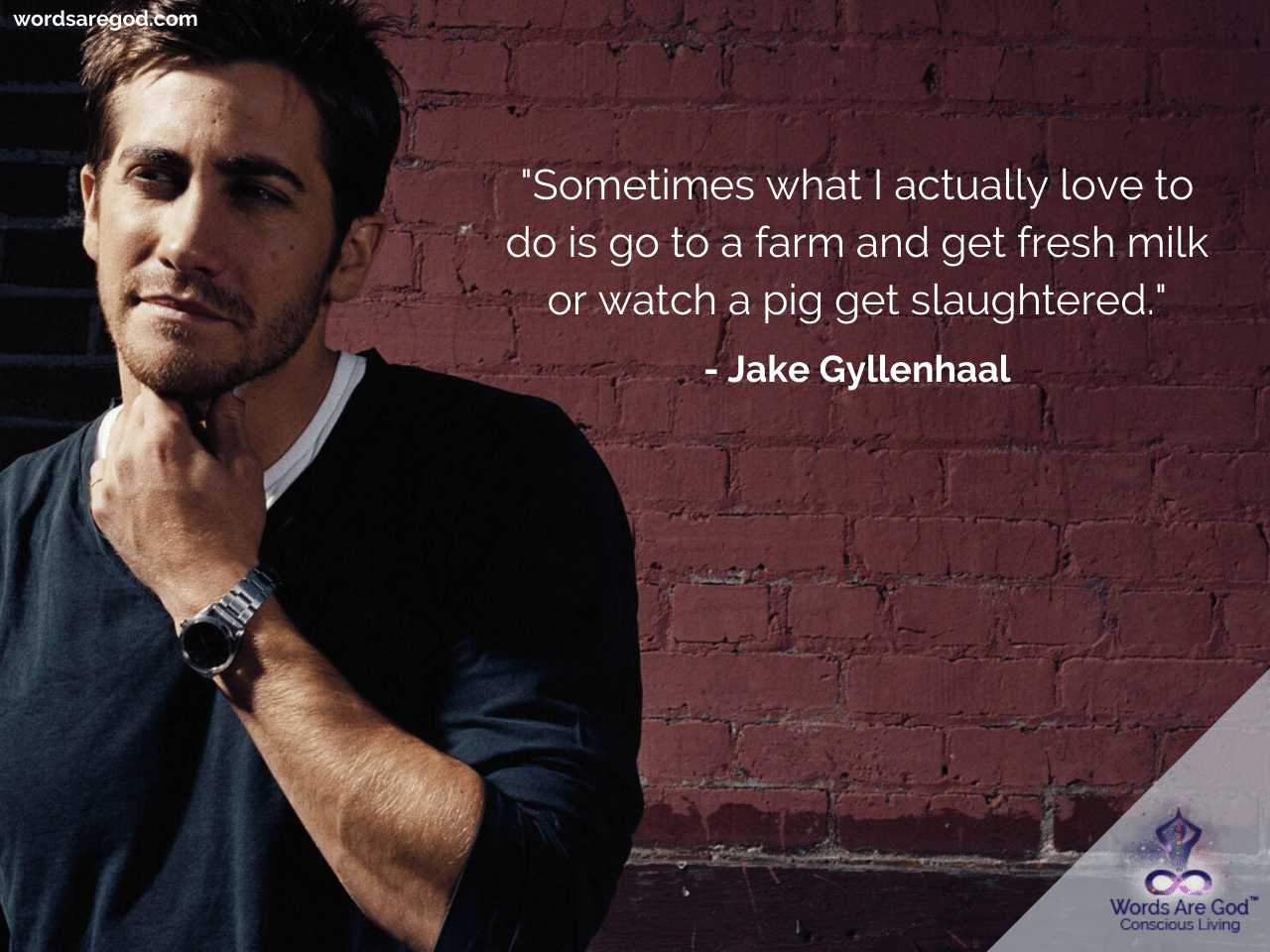 Jake Gyllenhaal Motivational Quotes by Jake Gyllenhaal