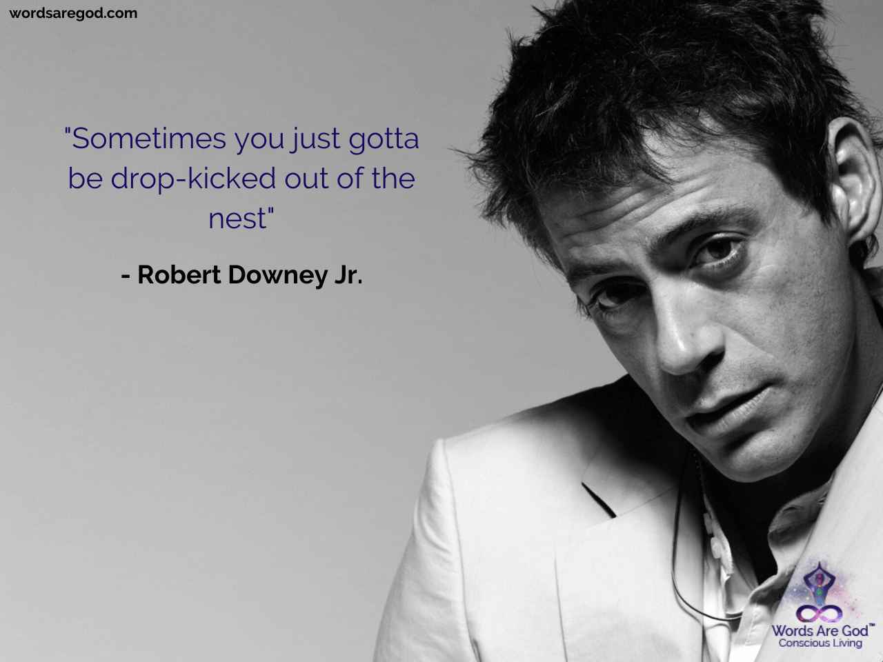 Robert Downey Jr. Motivational Quote by Robert Downey Jr.