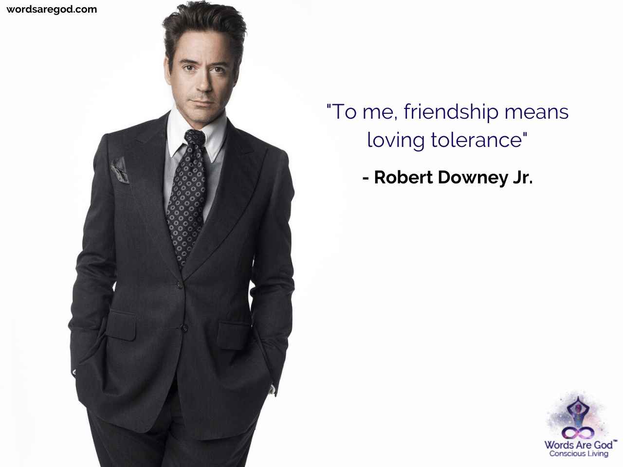 Robert Downey Jr. Life Quote