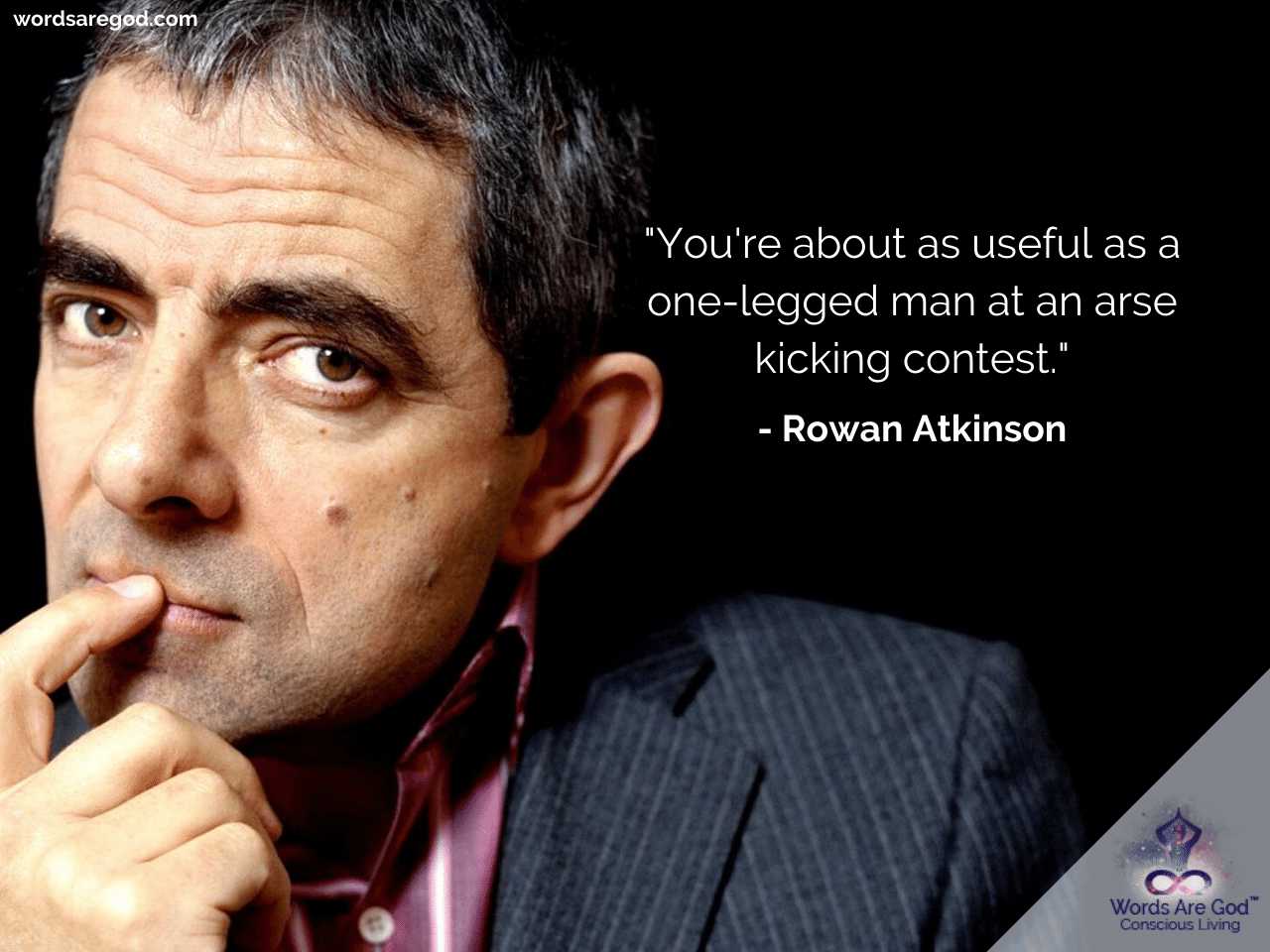 Rowan Atkinson Motivational Quotes by Rowan Atkinson