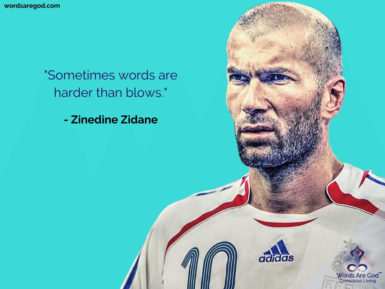 Zinedine Zidane Life Quote